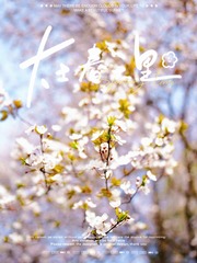 C15F055C-EC57-4414-B604-4C3017AC15A3/L0/001