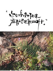F2B4640A-FF9F-4C10-8C29-4E48B39876E2/L0/001