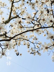 C5845FBB-0CA6-49A8-92D4-4110BD1F4927/L0/001