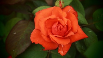 AE7282C5-F506-4706-B045-738DD53FE611/L0/001