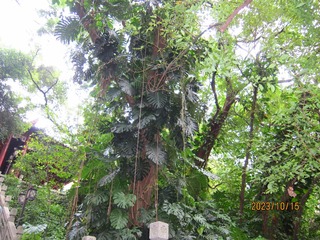 AF262A89-F770-41DD-B6A7-8384C7CD28B8/L0/001