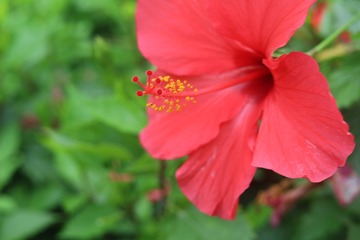 8D99B31C-3FF9-4882-94F1-F5FC1A05CF0F/L0/001