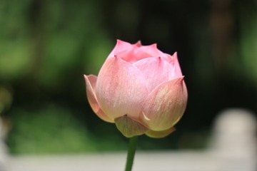 84967921-7F8B-4546-A8EE-6ECC46D6560A/L0/001