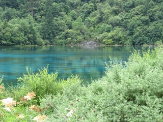 5AD5FB8D-F222-416F-A0DF-43E997608176/L0/001