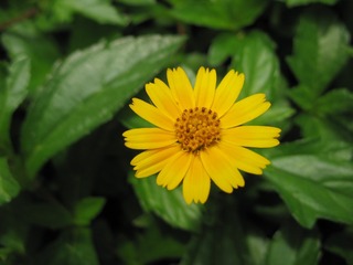 74074F47-1024-4067-97EF-E57393ED18C1/L0/001