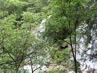 C5C6ADA8-FF1B-4D06-844E-42C0095A2098/L0/001