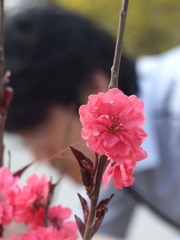 4.14未名采风 057