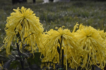 4.14未名采风 197