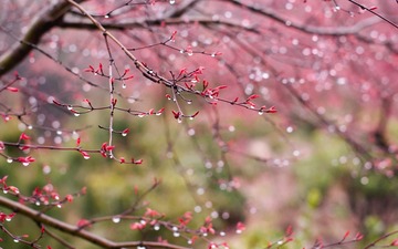 7F84A1B5-F38E-4DAC-B34A-07D7E2CAA560/L0/001