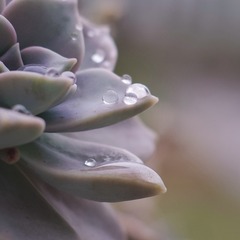 B0B7DC95-7335-443F-A137-80AD7F235EC2/L0/001