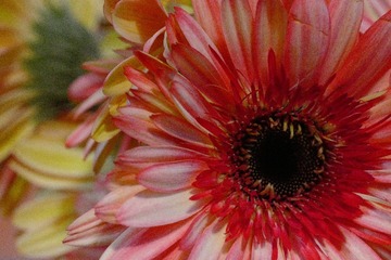 B048831D-10B5-47E5-9901-BBB3198C5434/L0/001