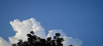 1000054384