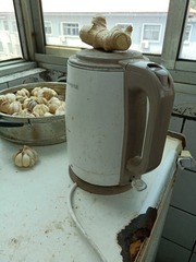 1624030