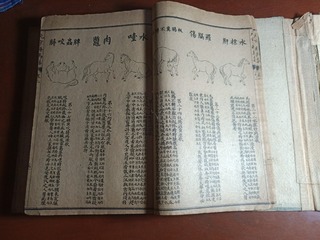 1621233