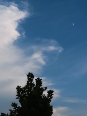 1623639