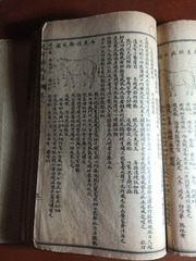 1622118