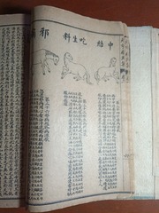 1621217