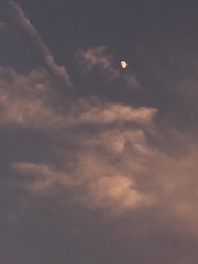 1620991