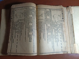 1622117