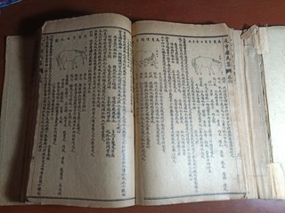 1621732