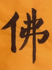 1628342