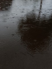 1628358