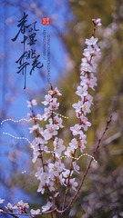 6119B0FB-3B96-408F-9F32-D04759B49EC9/L0/001