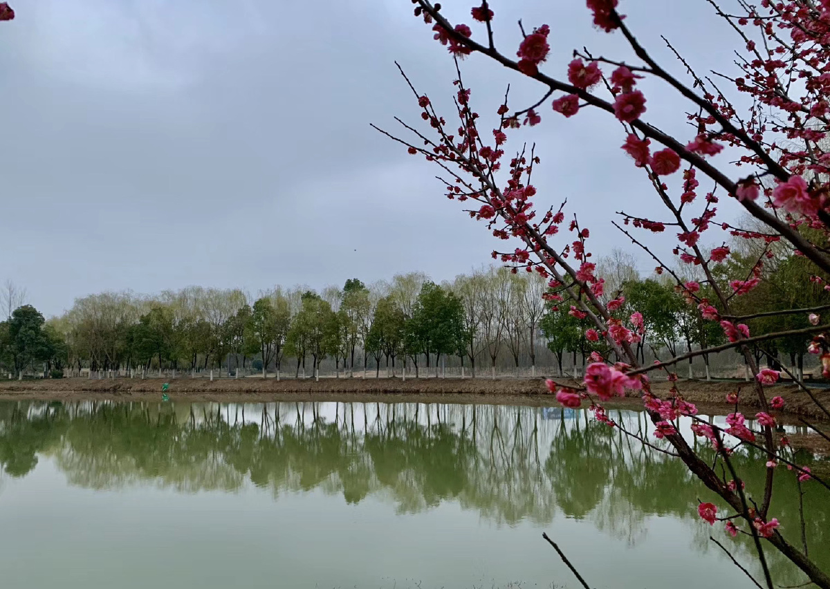 春林初盛春水初生春风十里不如你