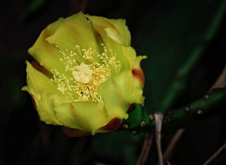 48B41512-0DD9-4D13-90E3-424D83BB0FF2/L0/001