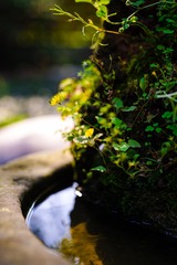 69F587ED-DB17-4E4E-86D7-42C6338D08CE/L0/001