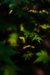 FAE07702-8E14-4A52-900E-6EE1063763F4/L0/001