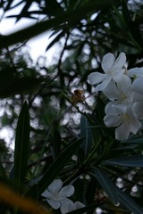 66F22E82-FA9D-45C1-A79F-08B6E04A80DC/L0/001