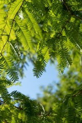 10CA15FF-78E1-4824-91C5-B1DCA37CB1E2/L0/001