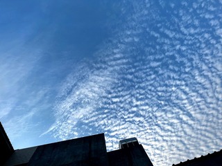 2C2789A2-37AD-4E34-866B-D7ED8C339ED5/L0/001