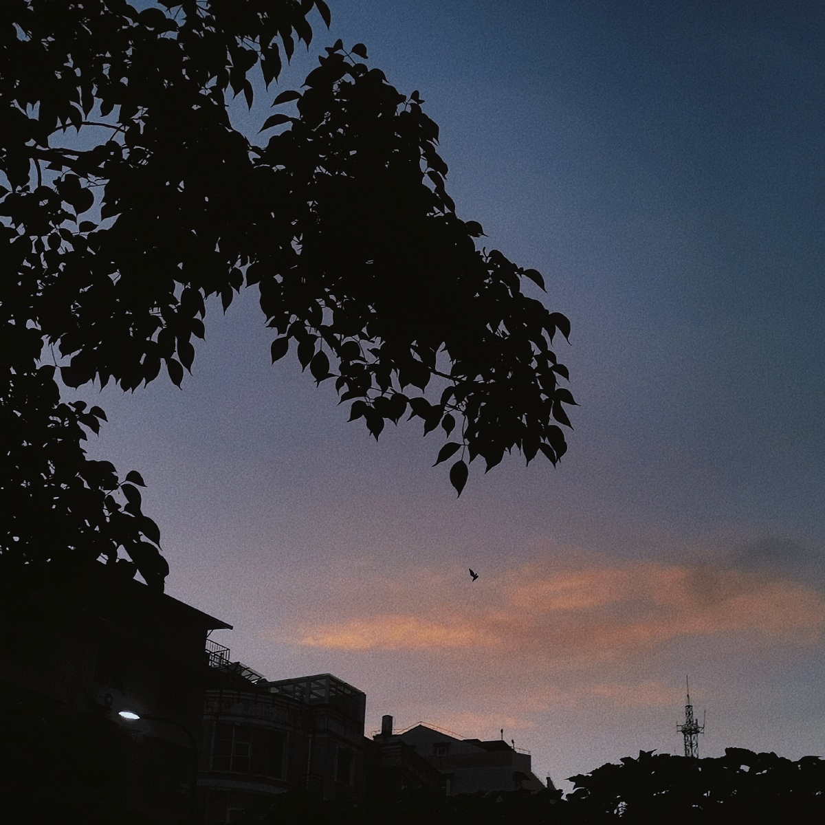 温柔的晚风一定能吹散许多不愉快