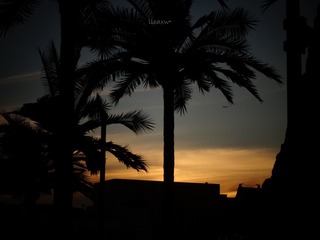 F491AF30-F0D0-4A3B-9B6F-035B9FAD302A/L0/001