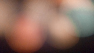 6251219