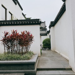 A2BDD620-D4E5-42CB-B184-28F6A078F836/L0/001