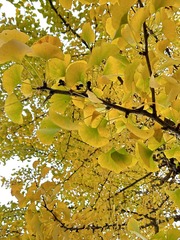 3AB798F7-815F-4D29-8A6F-338F0E5E9F90/L0/001