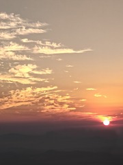 1000029081