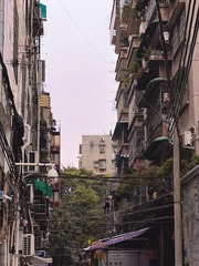 E3737ED0-A62E-4916-8BB9-C39EE1C1B9E8/L0/001