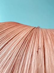 67D208FA-2D00-4776-9A1A-97473719BC37/L0/001