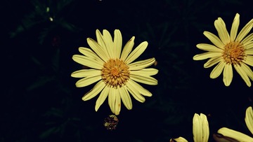 8B5B3A9A-D514-4B0B-84AC-FBAE50D3ACFC/L0/001