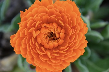 FD65311E-8400-4683-97C5-A25D50AEE45B/L0/001