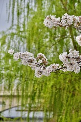 83FC6B2C-4500-4F66-B21B-07E6A09C3242/L0/001