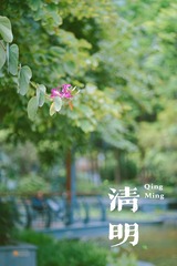 A0A5E38A-B982-4A31-89DC-06A4E999300B/L0/001