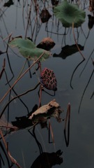 F0670C7A-F2D4-4082-8AB0-CF1F9DF55025/L0/001