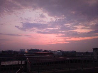1303025