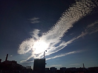 1303023