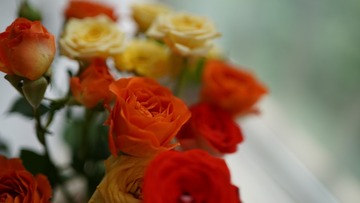 B3C2E29E-3241-430C-B3CA-BF99F0C2603F/L0/001